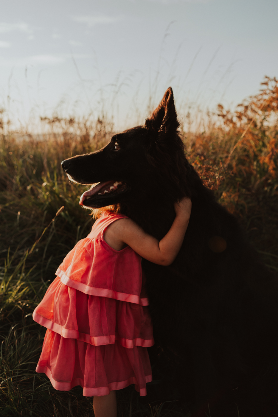 Sesja rodzinna na łące, gdzie dziewczynka przytula dużego czarnego psa.