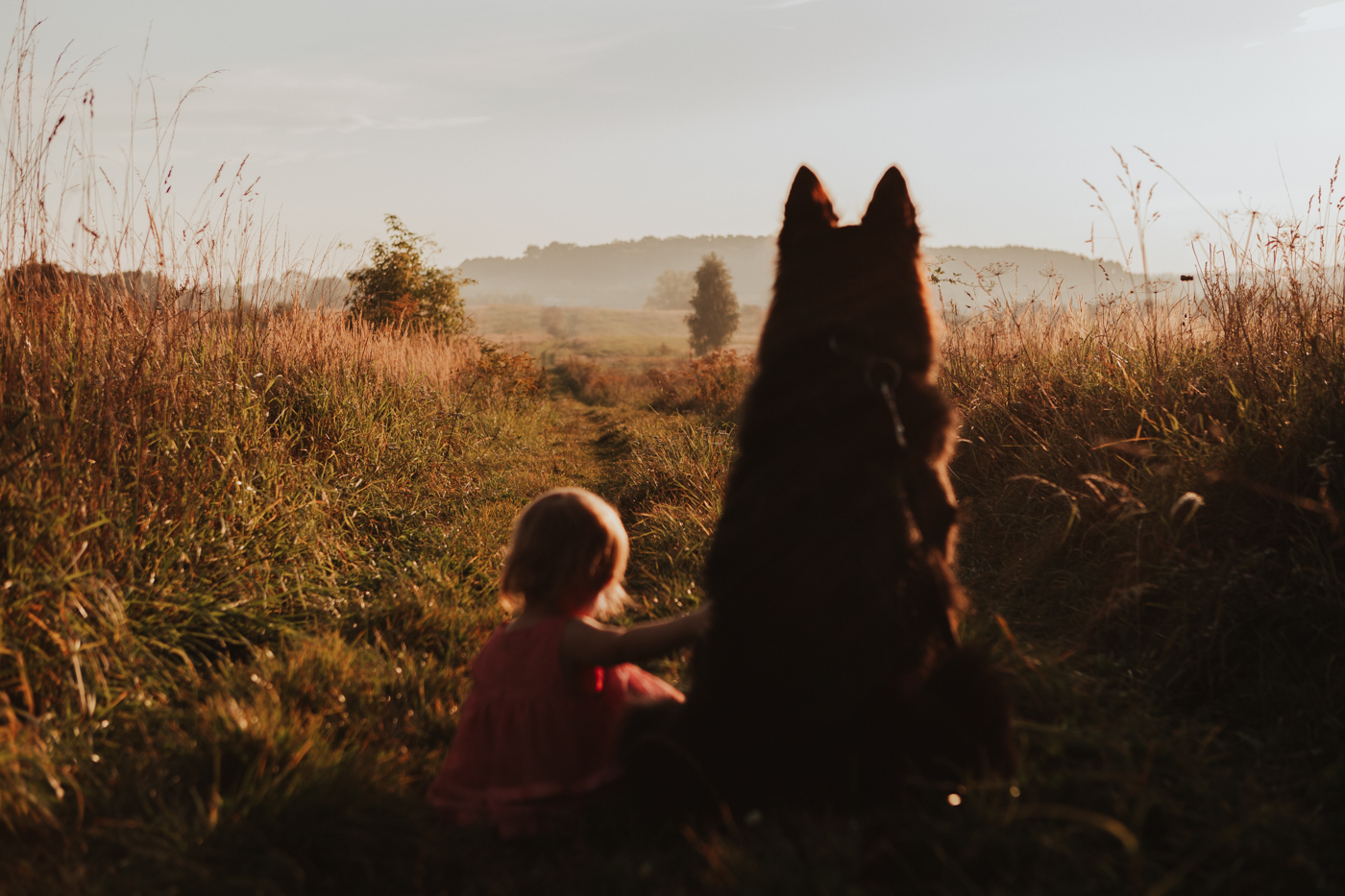 Dziecko siedzące z psem na łące o zachodzie słońca.