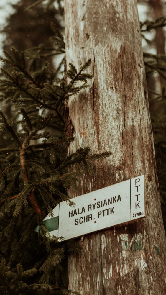 Znak górski wskazujący drogę na Hala Rysianka w Beskidzie Żywieckim